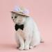 Walbest Elegant Woven Straw Cat Dog Hat with Mesh Bow Fake Pearls for Beach Party Pet Hat Costume Accessories