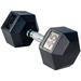 French Fitness Rubber Coated Hex Dumbbell 45 lbs (New)
