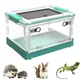 Terrarium de croissance des reptiles boîte d'incubation transparente portable pour petits animaux