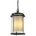 Meridian 15.7"H Large Coastal Black Outdoor Ceiling Fixture