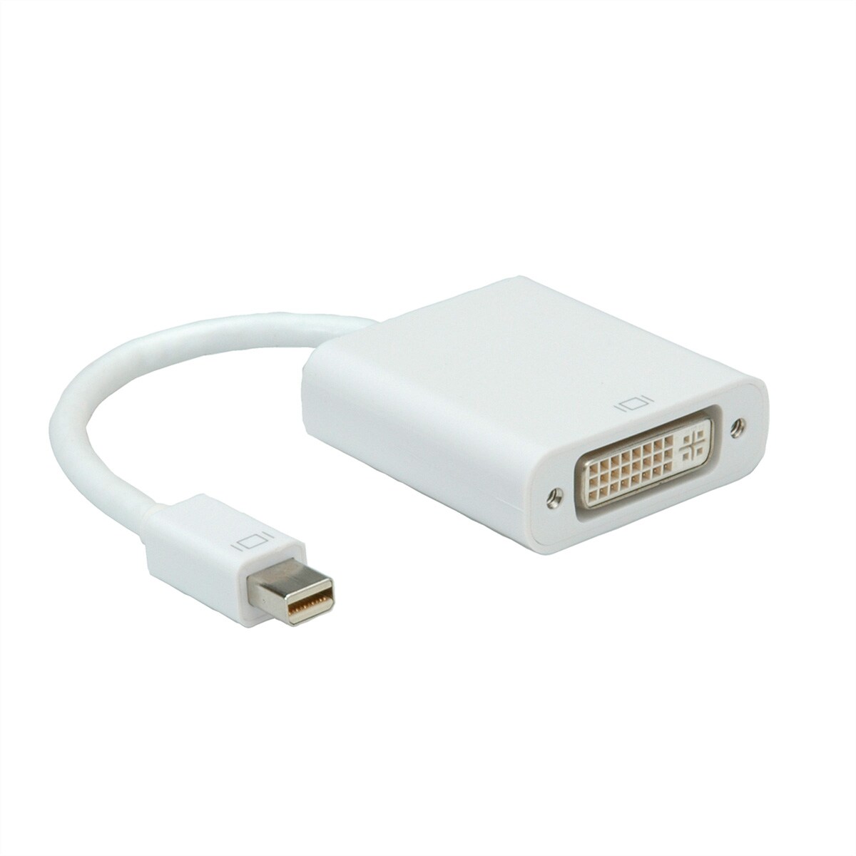 ROLINE Mini DisplayPort-DVI Adapter, Mini DP ST - DVI BU Image