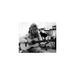 Brigitte Bardot Playing Guitar Behind the Scenes of Viva Maria - Photograph Paper in Black/White Globe Photos Entertainment & Media | Wayfair