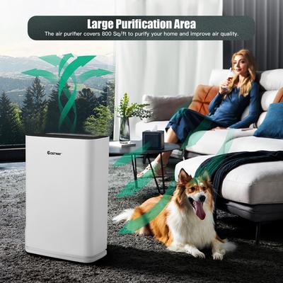 Costway Air Purifier True HEPA Filter Carbon Filter Air Cleaner Home - See Details