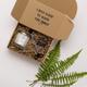 A Stylish Sustainable Gift Box