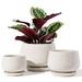 LE TAUCI 4.1+5.1+6.5 Inch Ceramic Plant Pots with Drainage Hole and Saucer Set of 3 Reactive Glaze Beige