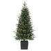 4 Foot Potted Natural Cut Mixed Needle Normandy Pine with 70 Clear LED Lights - N/A