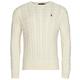 Polo Ralph Lauren LS DRIVER CN-LONG SLEEVE-SWEATER men's Sweater in Beige