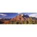 Panoramic Images Canyon surrounded with forest Escalante Canyon Zion National Park Washington County Utah USA Poster Print by Panoramic Images - 36 x 12