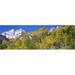 Panoramic Images Forest with snowcapped mountains in the background Maroon Bells Aspen Pitkin County Colorado USA Poster Print by Panoramic Images - 36 x 12