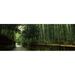 Panoramic Images Road passing through a bamboo forest Arashiyama Kyoto Prefecture Kinki Region Honshu Japan Poster Print by Panoramic Images - 36 x 12