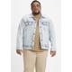 Jeansjacke LEVI'S PLUS "BIG TRUCKER" Gr. XXXL, blau (new light trucker) Herren Jacken Übergangsjacken