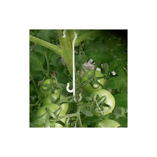 100 Stück 13 cm Tomaten-Stütz-J-Haken, Tomatenpflanzen-Stützklammern, Garten-Gemüseklammern, um zu