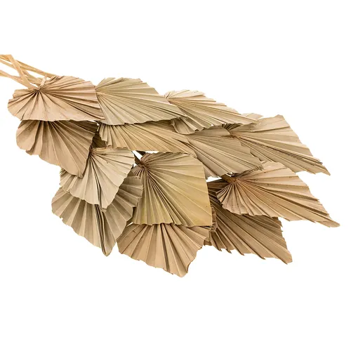 Feuilles de palmier, 30–60 cm, 20 pièces