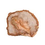Fortessa Petrified Wood Boards - 8"-10" - Frontgate