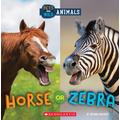 Wild World: Horse or Zebra (paperback) - by Brenna Maloney