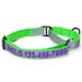 Green Personalized Reflective Martingale Dog Collar, Small, Blue