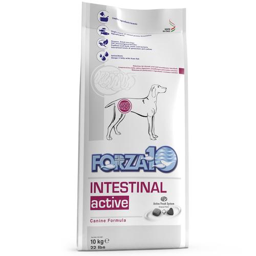 10kg Forza 10 Active Line Intestinal Active Diät-Trockenfutter Hund