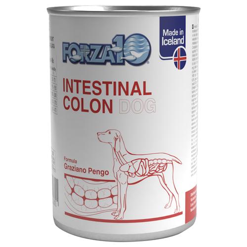 24x 390g Forza 10 Active Line Intestinal Colon Hundefutter nass