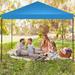 DreamDwell Home 10 Ft. W x 10 Ft. D Steel Party Tent w/ Mesh Windows Removable Sidewalls Carry Bag Stakes Ropes /Soft-top in Blue | Wayfair