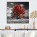 Red Barrel Studio® Red Tree Blossom Haven I On Metal Print Metal in Gray/Red | 16 H x 16 W x 1 D in | Wayfair 861E611BA5AD48FD9CE2387C4DA0FADF