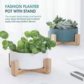 Succulents Planter Pot with Stand Hydroponics Plant Pot with Legs Vegetables Herbs Ceramic Planters Cylinder Flower Pot Storage Container for Home Planting Decor