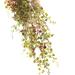 1Pc Artificial Long Vine Ornament Imitation Gold Silver Leaves Rattan Bunch Lifelike Imitation Flowers for Home Cafe Office