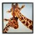 Stupell Industries Happy Giraffe Duo Portrait Animals & Insects Painting Black Framed Art Print Wall Art