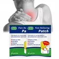 Patch ZB Anti-douleur 5 pièces/sac plâtre médical à base de plantes analgésique pour le dos