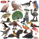 Oenux Wald Vogel Tiere Modell Flamingo Cuckoo Pfau Taube Eule Elster Action-figuren Garten