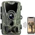 Suntek Wifi Serie 4k/2 7 k 36mp/24mp Trail Kamera Wildlife Infrarot Nachtsicht Bewegung aktiviert