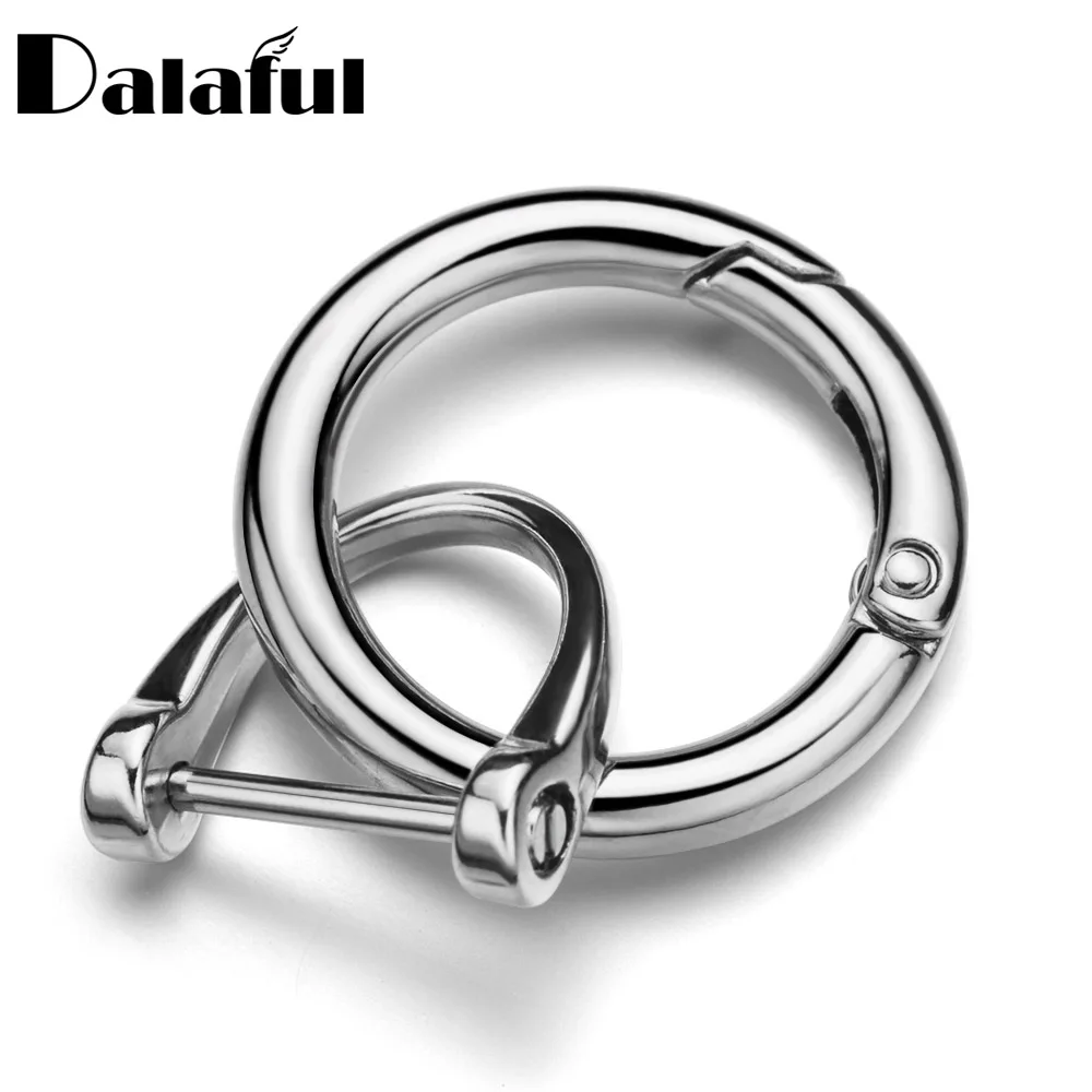 Metall Frühling Tor O Ring Keychain Für Auto Schlüssel Halter Öffnende Gürtel Schnalle Hund Kette D Form Hufeisen schlüsselring ZH01 Image