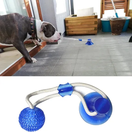 Hund Spielzeug Pet Welpen Interaktive Saugnapf Drücken TPR Ball Spielzeug Molaren Biss Spielzeug