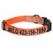 Orange Personalized Reflective Traffic Dog Collar, X-Small