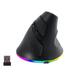 SHARE SUNSHINE Ergonomic Wireless Mouse 2.4G+Bluetooth Dual-mode Vertical Mouse with RGB Light Charging Mute Mouse 4 Adjustable DPI Optical Computer Mouse for Laptop Desktop PC-Black