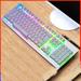 Mechanical Gaming Keyboard Retro Punk Gaming Keyboard with RGB Backlit 104 Keys Blue Switch Wired Cute Keyboard Uique Square Keycaps for Windows/Mac/PC - Metallic white rainbow light