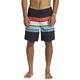 Quiksilver Everyday Stripe 19" - Boardshorts für Männer Schwarz