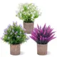 Fleurs artificielles en pot fausses décorations de µ mini plantes artificielles en pot