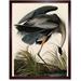 Audubon Birds of America Great Blue Heron Coastal Bird Portrait Illustration Art Print Framed Poster Wall Decor 12x16 inch