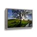 Hokku Designs Dejarvis California Oak in Late Afternoon Light - Print on Canvas Metal in Blue/Green | 32 H x 48 W x 2 D in | Wayfair