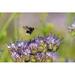 Gracie Oaks Derwyn Flying Bumblebee Metal in Green/Indigo | 32 H x 48 W x 1.25 D in | Wayfair 933C0B40607C41148409FA43F69A70FD