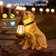 Solar Simulation Animal Light Outdoor Waterproof Resin Dog Statues Led Night Lights For Pathway Yard