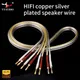 YYAUDIO 6N OFC HIFI Silver Plated Speaker Cable HIFI Banana Plug to Banana Jack Hi-end Speaker Wire