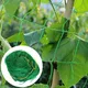 Plant Climbing Netting Strong Nylon Garden Plant Trellis Vegetable Loofah Flower Vine Grapes Grow