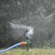 1/2" 3/4" Male lawn Irrigation 360 Degree Automatic Rotary Nozzle Sprinkler Garden lawn Watering