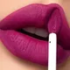 Matte Velvet Liquid Lipstick Waterproof Long Lasting Non-stick Cup Nude Red Brown Lip Gloss Lint