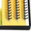 Softer feel 10D Individual Eyelashes 60 Pieces Clusters Natural Eyelash Extension Russia Volume