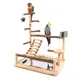 Parrot Playstand Bird Plays Stand Cockatiel Playground Wooden Perch Gym Playground Ladder with Metal