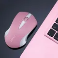 1600dpi Pink Computer Mouse Wireless Mouse Cordless Girl Cute Mouse Optical Mices Fashion Mice for