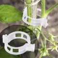 100/50Pcs Plastic Plant Support Clips For Tomato Hanging Trellis Vine Connects Plants Greenhouse