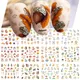 12pcs Hedgehog Animal Nail Water Stickers Pine Cones Gold Fall Design Watercolor Winter Manicure